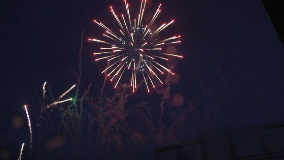 Fabbrica Liuyang Mandarino Display Professionale Fuochi d'artificio 2.5 pollici Display Conchiglie Fuochi d'artificio 1.3g Prodotti pirotecnici