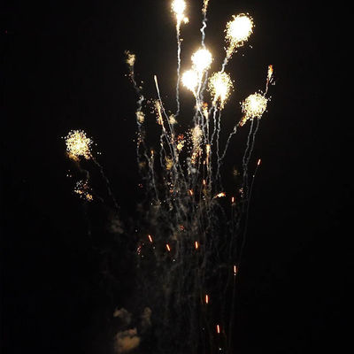 Firework cinese 1.4 Pro Line Mandarin 210 colpi 1000 grammi torta pirotecnica per il mercato americano