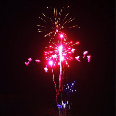 Nuovo 1.4 Pro Line Fuochi d'artificio all'aperto 300 colpi Fuochi d'artificio torta per il Capodanno Sky Shot Fuochi d'artificio petardi Fuochi d'artificio di Natale Fuochi d'artificio cinesi in vendita