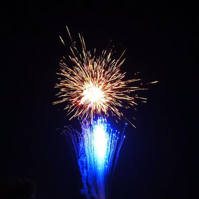 200 colpi Nuovo 1.4 Pro Line Fuochi d'artificio Evento natalizio e festa Festa occasione 1000G Torta Fuochi d'artificio pirotecnica