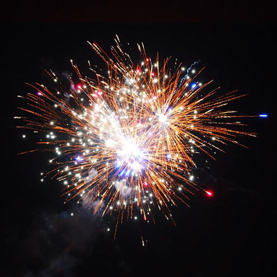 1.4 Pro Line Fuochi d'artificio 1000g 226 colpi Saluti Torta pirotecnica per Natale e festa di nozze
