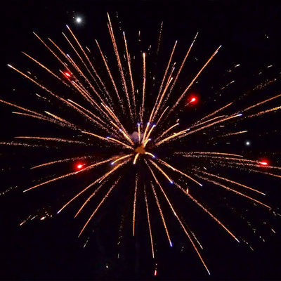 500G 12 colpi torta di Capodanno fuochi d'artificio cinese all'ingrosso esportazione pirotecnica per la celebrazione del matrimonio