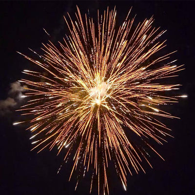 Import Cina Mandarino fuochi d'artificio Liuyang pirotecnica 2 pollici 12 colpi 500g consumo torta fuochi d'artificio per la celebrazione