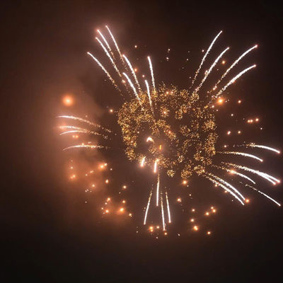 4 pollici schermo conchiglie fuochi d'artificio per le mostre professionali Liuyang forniture nei mercati mandarini