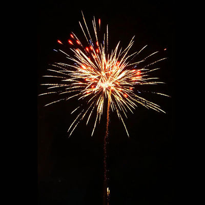 Liuyang Pyrotechnics 100 colpi in vendita all'ingrosso torta dei consumatori fuochi d'artificio 2025 nuovi fuochi d'artificio in effetto incredibile torta dei fuochi d'artificio