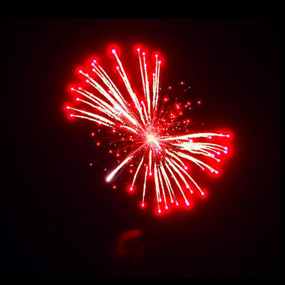 Liuyang Mandarin 1.3g Un0335 Fuochi d'artificio 4''Inch Display Conchiglie Fuochi d'artificio pirotecnica professionale Conchiglie per la vendita