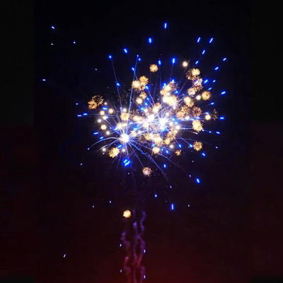 Fabbrica cinese 1.4g Fuochi d'artificio personalizzati Liuyang 1.2'' Inch Simpatico Crisantemo Nuovi fuochi d'artificio per torte per consumatori Pirotecnica per matrimoni