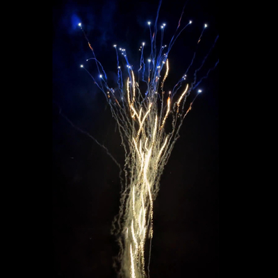 Fuochi d'artificio cinesi all'ingrosso per Capodanno Wolf Howl e Blue Dahlia Cake, fuochi d'artificio a torta per Natale
