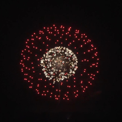 Fabbrica Anno Nuovo professionale 1.3g fuochi d'artificio 2 