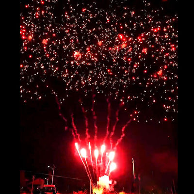 Fuochi d'artificio Liuyang Mandarin New Hot Fireworks 56 colpi Saluto Torta da esterno Batterie Fuochi d'artificio Prugna Rossa Pirotecnica