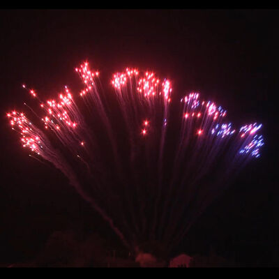 Fuochi d'artificio all'ingrosso dalla fabbrica cinese 1.2'' 13 colpi a fila singola a forma di S, fuochi d'artificio mandarino da esterno, da blu a rosso a strobo bianco