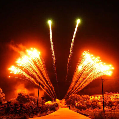 Fabbrica Liuyang 1.3G Professionale 12 colpi Fuochi d'artificio a fila singola Mostra Festa all'ingrosso cinese Nuovi fuochi d'artificio pirotecnica