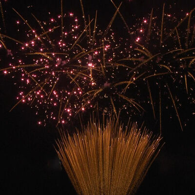 1.2 Inch 100 Shots Torta fuochi d'artificio 1.3G Professionale UN0335 certificato pirotecnica per le celebrazioni all'aperto