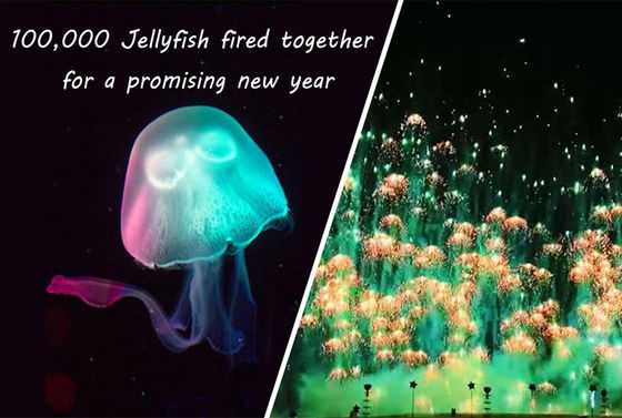 Fuochi d'artificio Skyshots di Toy Firework Jellyfish Consumer Novelty del nuovo anno pirotecnico