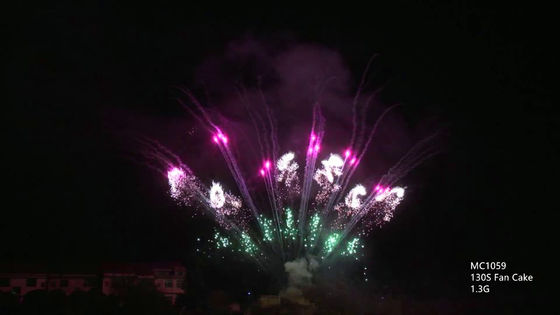 130 fuochi d'artificio professionali AFSL della pirotecnica dei colpi hanno certificato