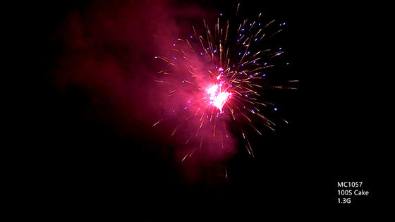 Fuochi d'artificio professionali di pirotecnica dei colpi dell'OEM 100