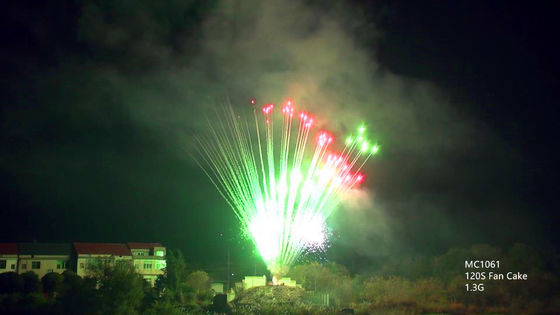 Fuochi d'artificio professionali di pirotecnica del mandarino 130 colpi per il Natale