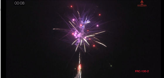 Il CE ha segnato i 100 fuochi d'artificio all'aperto del dolce del consumatore dei colpi per la celebrazione di compleanno